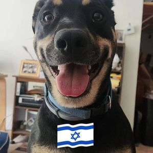 Meet your Posher, Jon